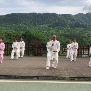 ֲ̫ͭʽʮʽ̫ȭ׽조š̫Ӣ