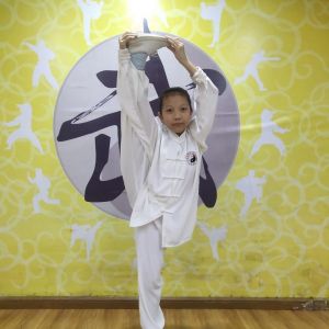 ʽ̫ȭҪʮʽ׽조š̫Ӣ