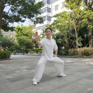 ѩ۳ʽ̫ȭҪʮʽ׽조š̫Ӣ