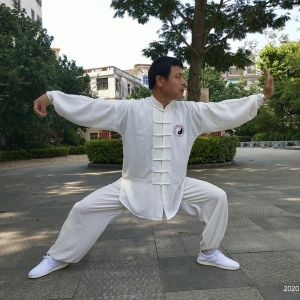 ŷɳʽ̫ȭҪʮʽ׽조š̫Ӣ