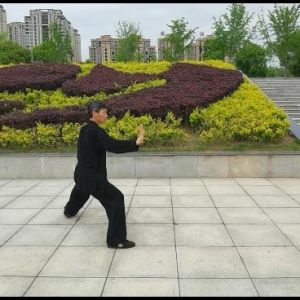 ο˻ ʽ̫ȭϼһ·׽조š̫Ӣ