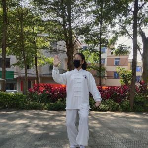 ʽ̫ȭҪʮʽ׽조š̫Ӣ