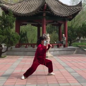 ȫƽʽ̫ȭϼһ·׽조š̫Ӣ