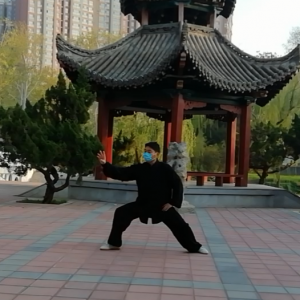 ͬǿʽ̫ȭϼһ·׽조š̫Ӣ