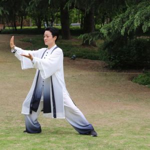 򻪱ݳʽ̫ȭʮʽ׽조š̫Ӣ