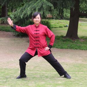 ޱݳʽ̫ȭʮʽ׽조š̫Ӣ