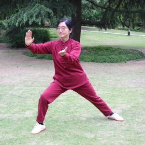 ݳʽ̫ȭʮʽ׽조š̫Ӣ