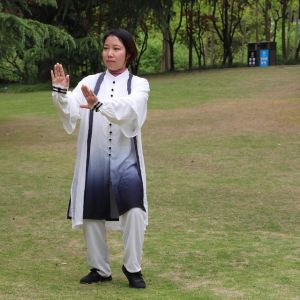 ݳʽ̫ȭʮʽ׽조š̫Ӣ