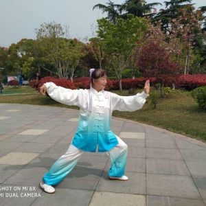 ⱦݴͳʽ̫ȭ28ʽ׽조š̫Ӣ