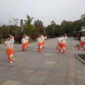 Ӧ̫ȭЭӱݴͳʽ̫ȭ28ʽ׽조š̫Ӣ