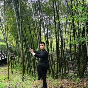 Ƕʽ̫ȭϼһ·׽조š̫Ӣ