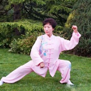 ƽ̫ȭ֮·ʮƪ׷һ־(֮