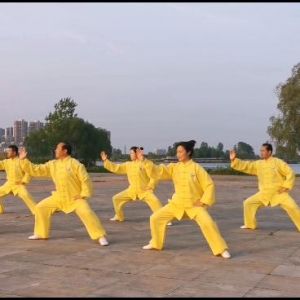 Զ̫ȭЭʽ̫ȭϼһ·׽조š̫Ӣ