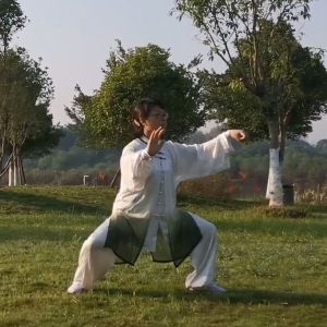 ·绪ʽ̫ȭ13ʽ2020׽조ֵ̫Ӣ