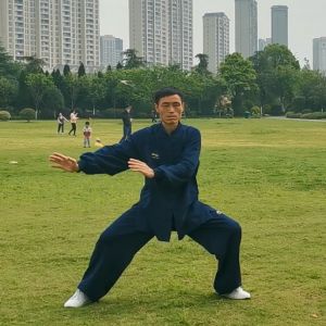 ٶʽ̫ȭ13ʽ2020׽조ֵ̫Ӣ