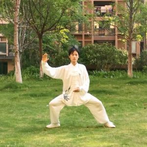 ݼʽ̫ȭ13ʽ2020׽조ֵ̫Ӣ