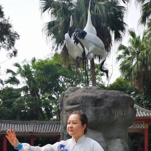 Ƽγʽ̫ȭϼһ·13ʽ2020׽조ֵ̫Ӣ