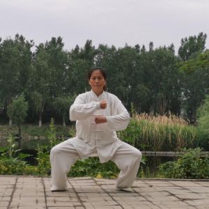 ʽС̫ȭ2020׽조ֵ̫Ӣ