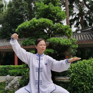 㻨ʽ̫ȭ¼18ʽʽ̫492020׽조ֵ̫Ӣ