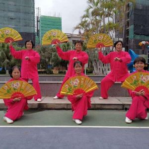 ̫ȭѧᶫݸֻ̫ȡ2020⡰ű̫ȭ