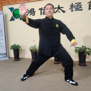 ݳʽ̫ȭʮʽ_˷2020⡰ű̫ȭ