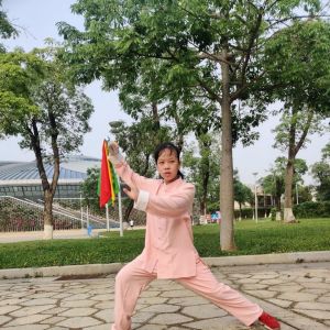 ݼ诱ݳʽ̫2020⡰ű̫ȭ