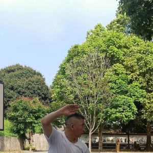 ֱݳʽ̫ȭС64ʽ2020⡰ű̫ȭ