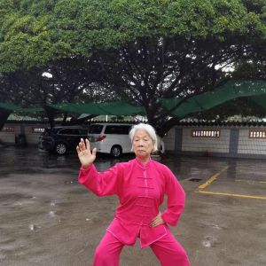 °ݳʽ̫ȭϼһ·2020⡰ű̫ȭ