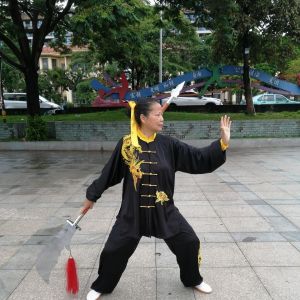 ݳʽ󵶡2020⡰ű̫ȭ