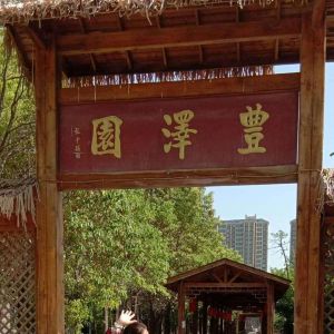 40ʽ̫ȭ2020⡰ű̫ȭ