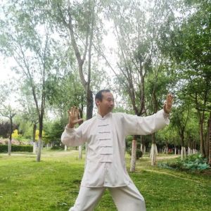 Ԭʽ̫ȭʮʽ2020⡰ű̫ȭ