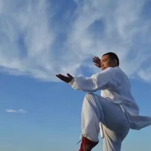 ½䵱̫2020⡰ű̫ȭ