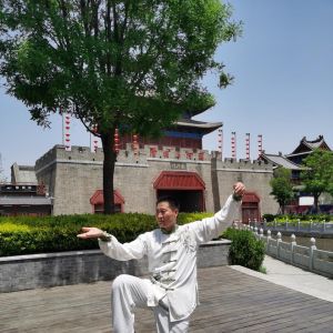 ½ʽ̫ȭͳ·2020⡰ű̫ȭ