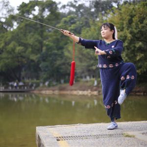 ʮ̫ȭܳꡱ֮ε2019̫ʢȱ