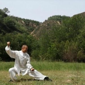 Ӿʽͳ̫ȭ2020ӭȫˡƵ