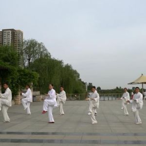 ̫ȭоʽ̫ȭ2020ӭȫˡƵ