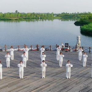 ȭоԱ̫ȭ2020ӭȫˡƵ