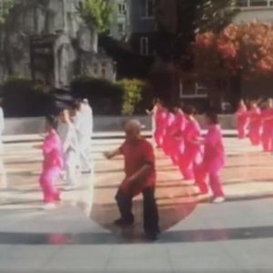 ʽ̫ȭϻ԰ӡ2020ӭȫˡƵ