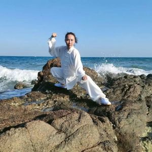 Ŵݳʽ̫ȭ2020ӭȫˡƵ