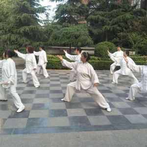 ʽԪ̫ȭϻֻᡪ2020ӭȫˡƵ