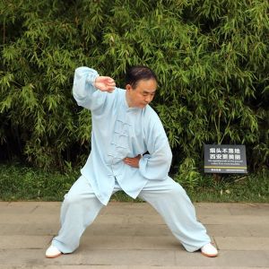 νݳʽ̫ȭͳСܡ2020ӭȫˡƵ