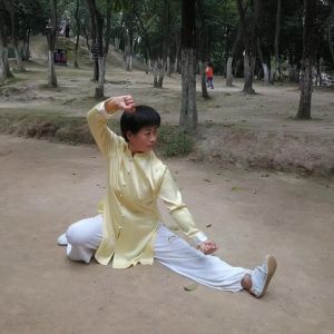 ʽ̫ȭϼܡ2020ӭȫˡƵ