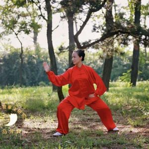 ʽ̫ȭͳСܡ2020ӭȫˡƵ