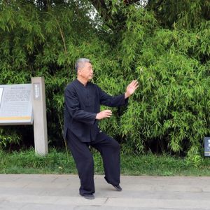 ܳʽ̫ȭͳСܡ2020ӭȫˡƵ