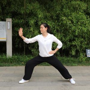 շʽ̫ȭͳСܡ2020ӭȫˡƵ