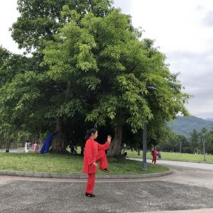 ʽͳ̫ȭ85ʽ2020ӭȫˡƵ