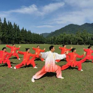 Ƽѧʽ̫ȭѧɽֻâǶʽ̫ȭ2020ӭ ...