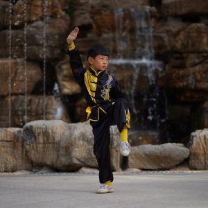 곽ݳȭ·2020ӭȫˡƵ