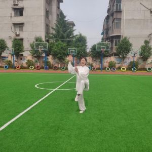 Աʽ̫ȭ2020ӭȫˡƵ