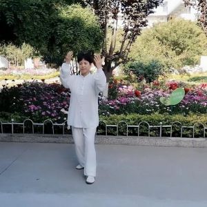 ФԱʽ̫ȭ2020ӭȫˡƵ